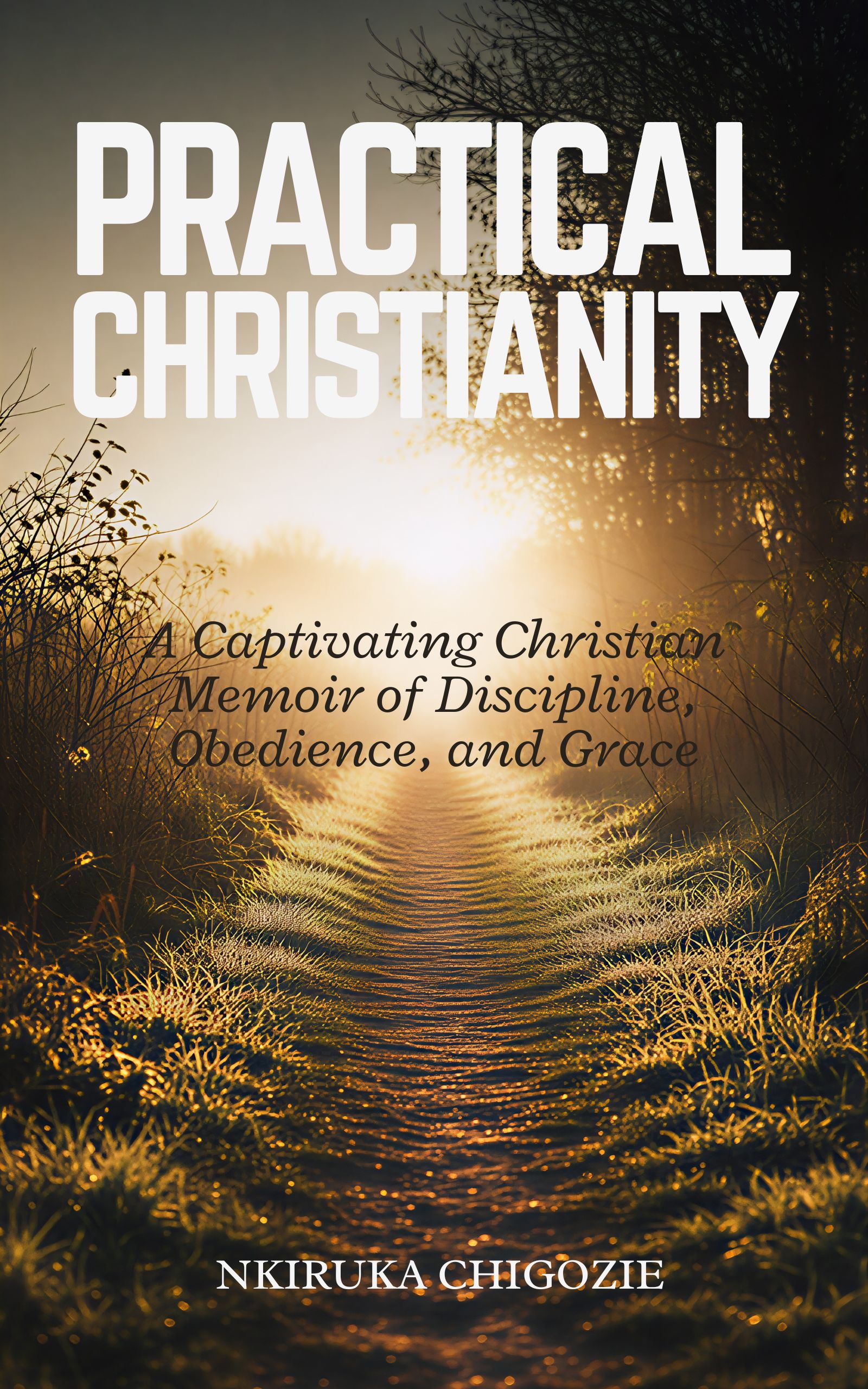 Practical Christianity Book Cover - spiritual journey on golden pathway